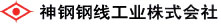 進(jìn)口鋼絲繩